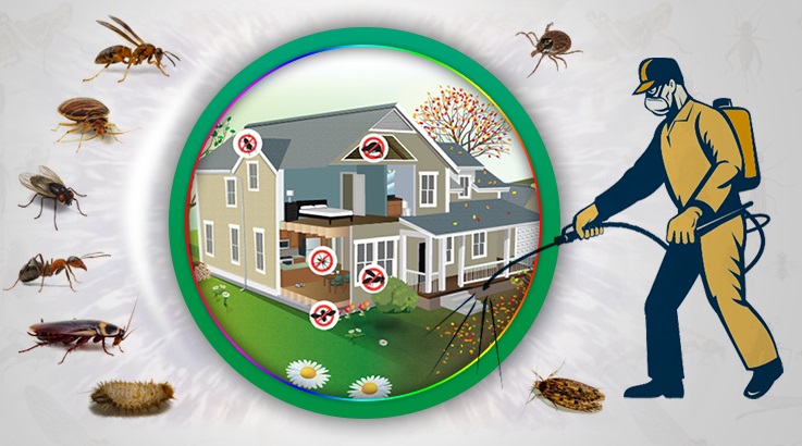 Çamlıdere Böcek İlaçlama