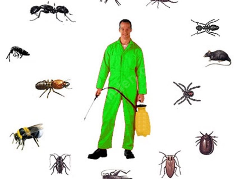 Çamlıdere Böcek İlaçlama